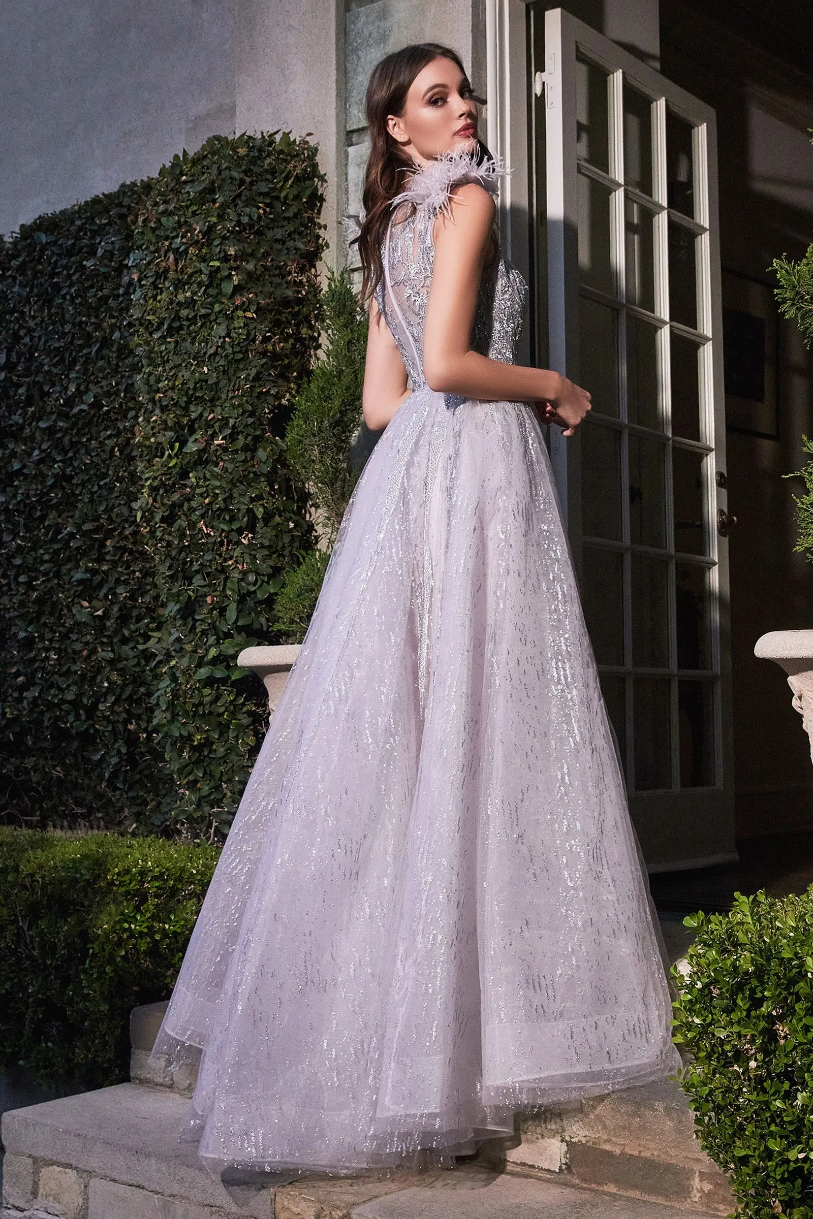 Feather Layered Tulle A-Line Embroidererd Bodice Long Prom Dress CDB704