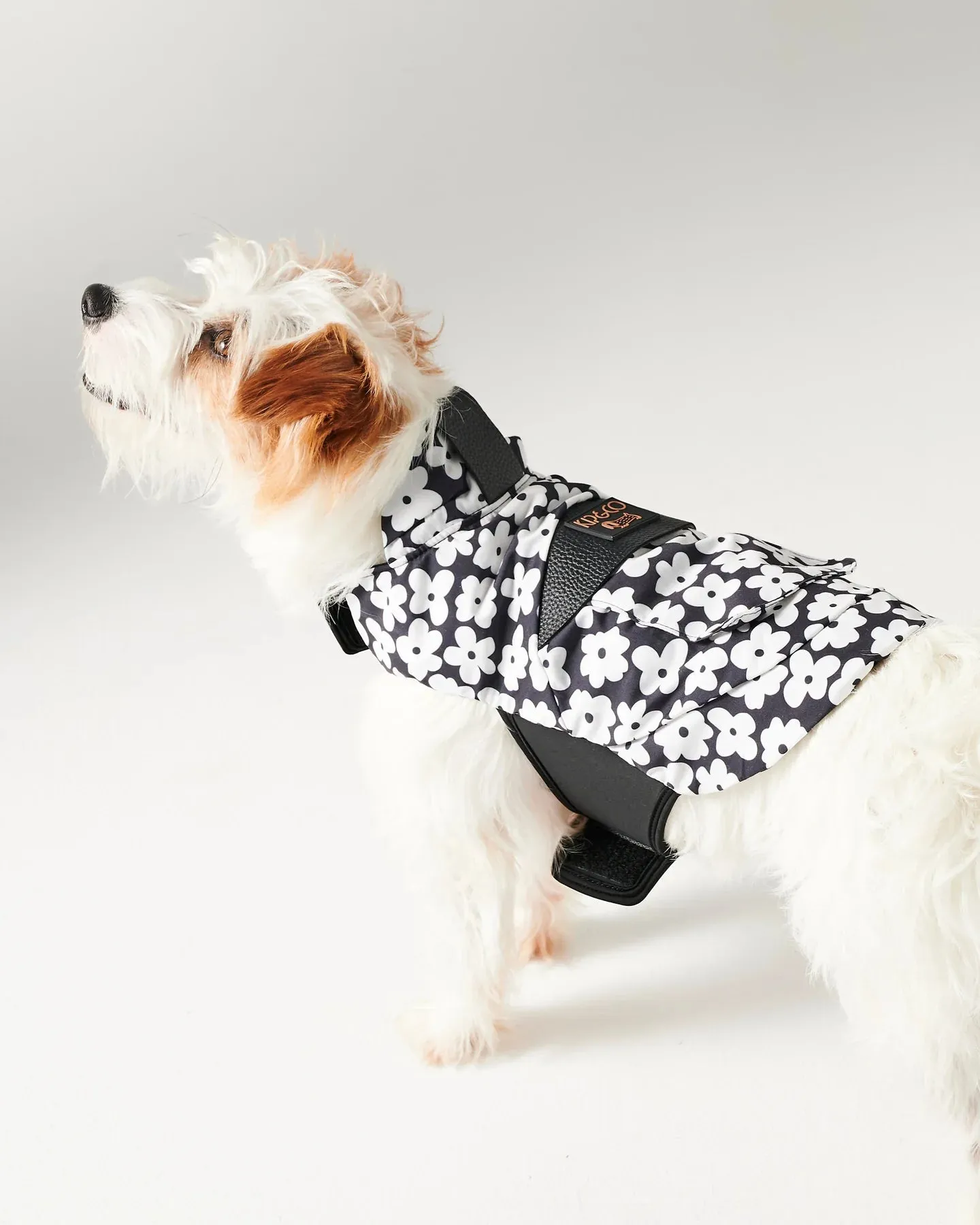 Kip & Co Flower Face Dog Jacket