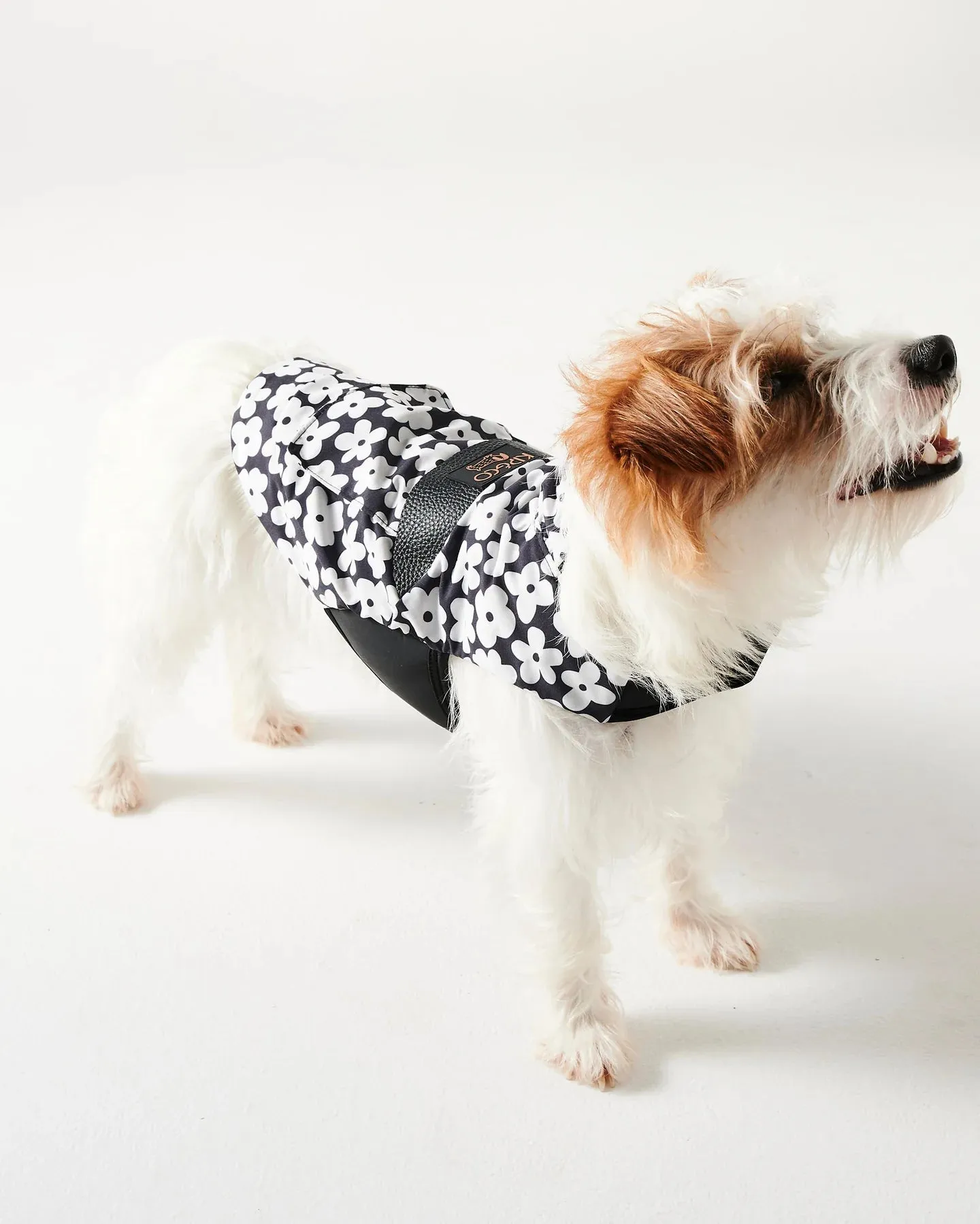 Kip & Co Flower Face Dog Jacket