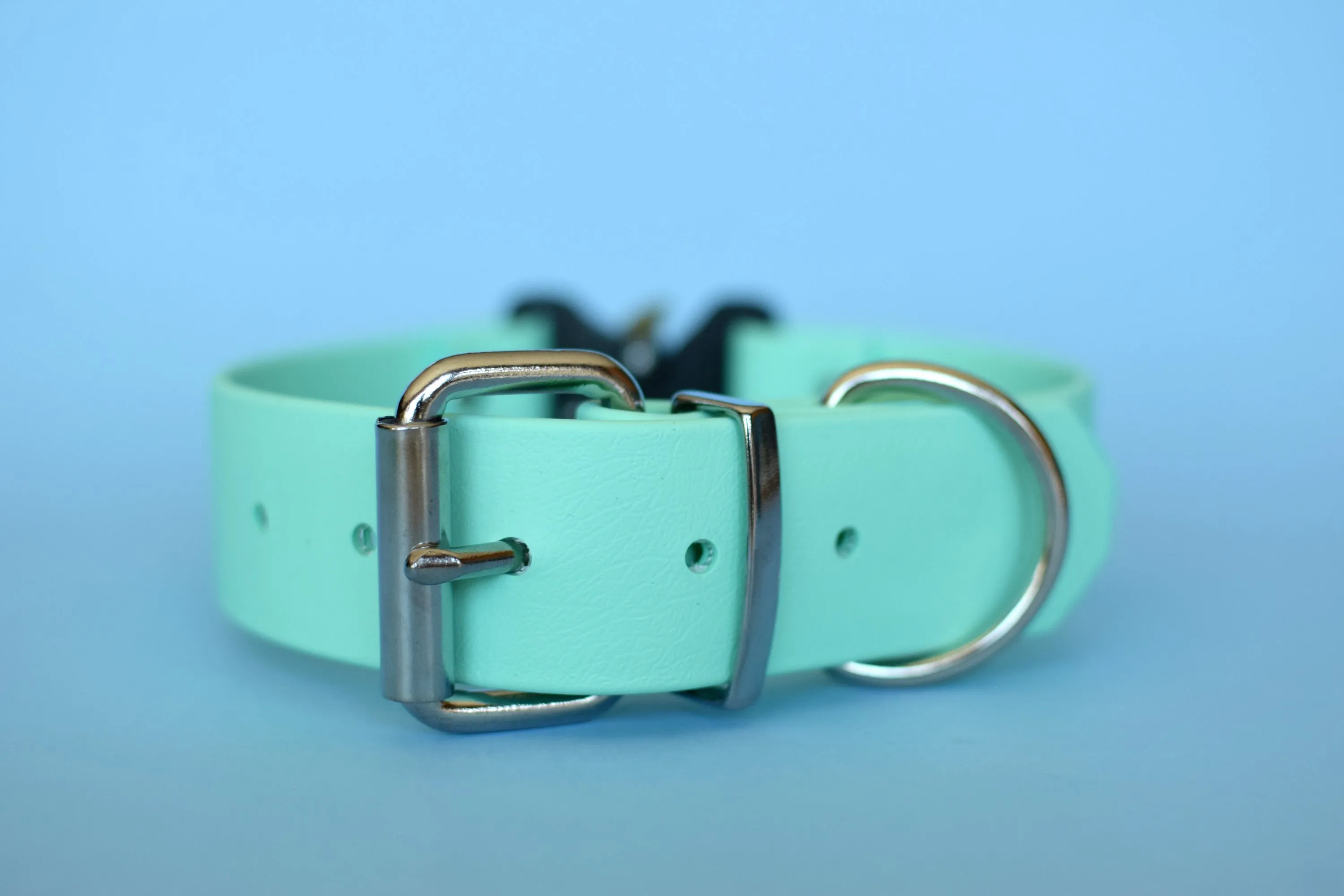 PREMADE COLLECTION - Seafoam & Nickel Biothane Dog Collar