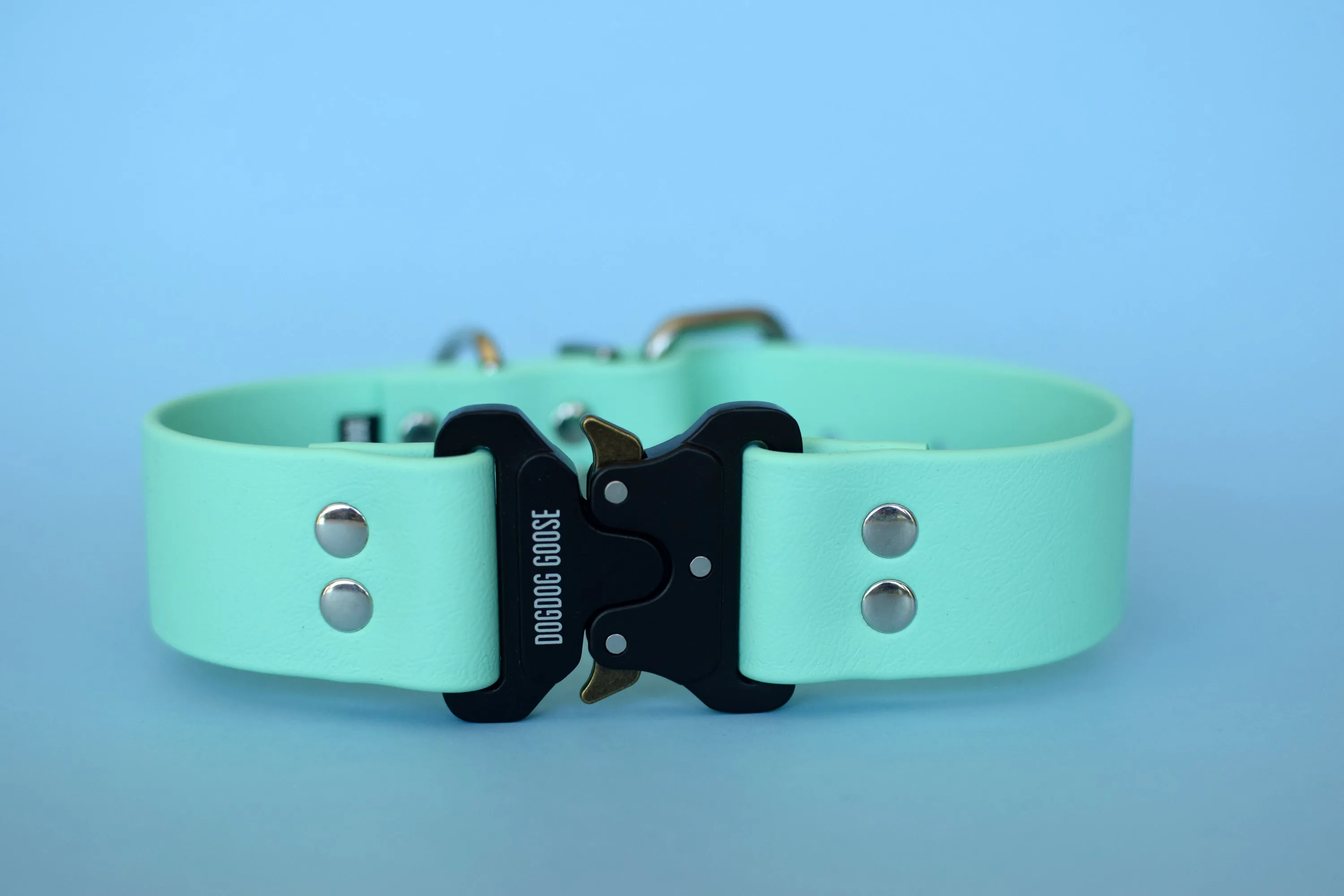 PREMADE COLLECTION - Seafoam & Nickel Biothane Dog Collar