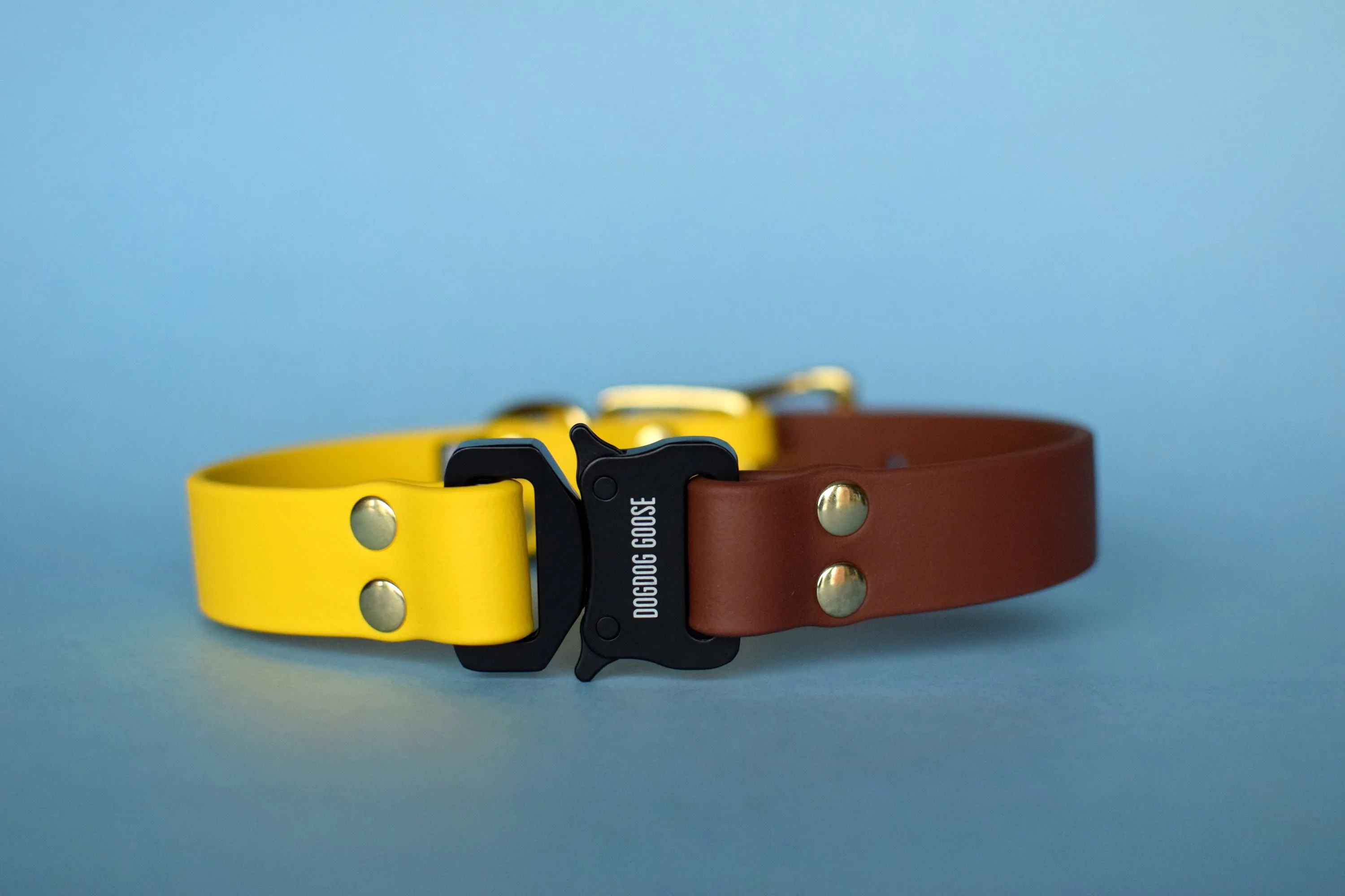 PREMADE COLLECTION - Yellow & Medium Brown with Brass Biothane Dog Collar