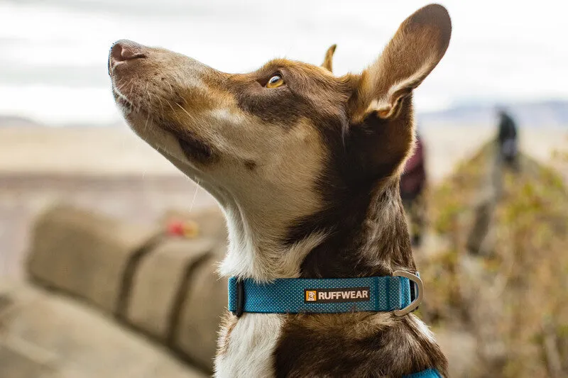 Ruffwear - Hi & Light Collar