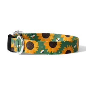 Sunflower Dog Collar