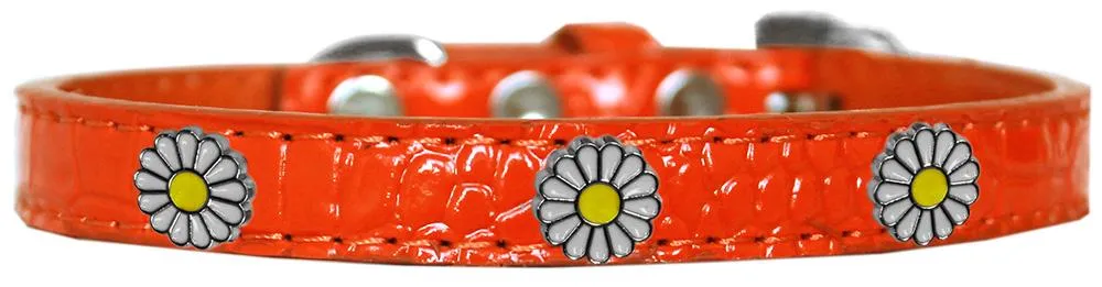 White Daisy Widget Croc Dog Collar Orange Size 12